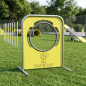 Hunde-Hoop-Reifen 123x15x100 cm | Agility-Hindernis für Hundetraining und Parcours
