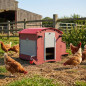 Gallinero Fijo con Bebedero Depósito 7 L 73x83x79 cm | Capacidad 6-9 Gallinas Ponedoras