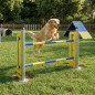 Pista de Obstáculos para Cães 132x15x40 cm | Percurso de Agilidade para Treinamento e Circuitos Caninos