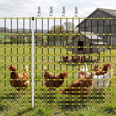 Filet électrique pour volailles 1,05 x 50 m | Enclos pour poulets et animaux de ferme
