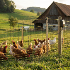 Rede elétrica para aves 1,05x50 m | Cercado para galinhas e animais de fazenda