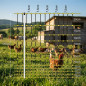 Rete elettrica per pollame 1,05x50 m | Recinto per polli e animali da fattoria