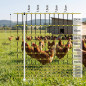 Rete elettrica per pollame 1,05x50 m | Recinto per polli e animali da fattoria