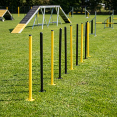 Slalom Agility Course for Dogs with 8 Poles | Training Obstacle for Canine Circuits