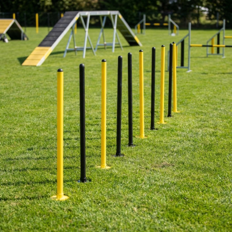 Slalom Agility Course for Dogs with 8 Poles | Training Obstacle for Canine Circuits