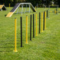 Slalom Agility Course for Dogs with 8 Poles | Training Obstacle for Canine Circuits
