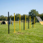 Slalom Agility para Perros 8 Postes | Obstáculo de Entrenamiento para Circuitos Caninos