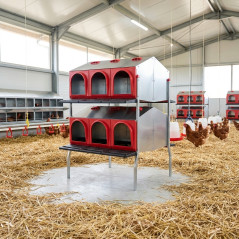 Nichoir Platinum pour poules, 12 compartiments, 2 étages et 2 côtés | Nichoirs pour volailles
