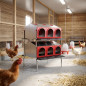 Nido para Gallinas Platinum 12 Departamentos 2 Pisos 2 Caras | Ponederos Avícolas