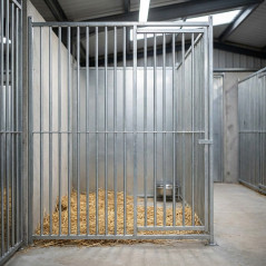 Frente de Barras Boxes Perros con Puerta 200x185 cm | Perrera Canina con Separación 8 cm