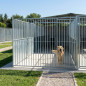 Frente de Barras Boxes Perros con Puerta 150x185 cm | Perrera Canina con Separación 5 cm