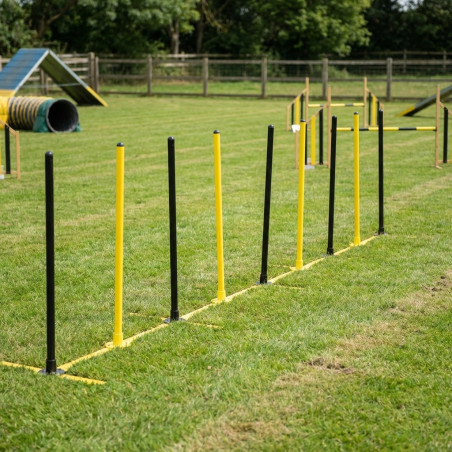 Parcours d'agilité slalom pour chiens avec 8 poteaux | Parcours d'obstacles d'entraînement pour chiens