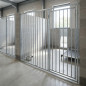 Dog Kennel Front with Door 200x185 cm | Dog Kennel with 8 cm Separation