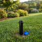 Irrigatore Rain Bird 3504PCSAM con valvola anti-drenaggio | Gittata da 4,6 a 10,7 m | Irrigatore a turbina regolabile 3500 3504