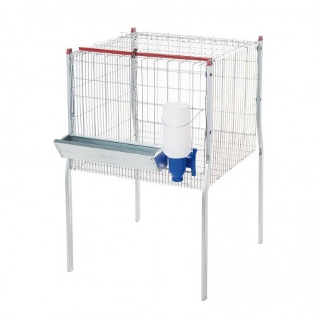 Broiler cage