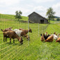 Electric Netting for Goats 1.05x50 m | Poultry Enclosure for Chickens and Farm Animals Electric Netting for Goats 1.05x50 m | Poultry Enclosure for Chickens and Farm Animals