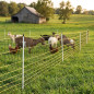 Filet électrique pour chèvres 1,05 x 50 m | Enclos pour volailles (poulets et autres animaux de ferme) Filet électrique pour chèvres 1,05 x 50 m | Enclos pour volailles (poulets et autres animaux de ferme)