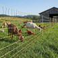 Rete elettrica per capre 1,05x50 m | Recinto per pollame, polli e animali da fattoria