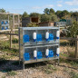 Gabbia per pernici con 3 scomparti 100,5x45x60 cm | Gabbia zincata per pernici con mangiatoie e abbeveratoi | Gabbia espandibile Gabbia per pernici con 3 scomparti 100,5x45x60 cm | Gabbia zincata per pernici con mangiatoie e abbeveratoi | Gabbia espandibile