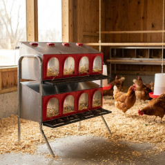 Nido para Gallinas Platinum 8 Departamentos 2 Pisos 1 Cara | Ponedero Avicola para Gallina
