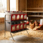 Platinum Chicken Nesting Box with 8 Compartments, 2 Floors, 1 Side | Poultry Nesting Box for Chickens