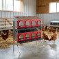 Nido per polli Platinum con 8 scomparti, 2 piani, 1 lato | Nido per pollame per galline