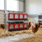 Nido para Gallinas Platinum 8 Departamentos 2 Pisos 1 Cara | Ponedero Avicola para Gallina