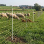 Malla Eléctrica para Cabras 1,05x50 m | Cerramiento Avícola para Gallinas y Animales de Granja