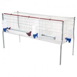 Cage pour poulets de chair