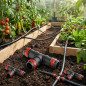 Lot de 10 Té d'irrigation goutte à goutte de 16 mm avec anneau de sécurité. Union pour tube goutte à goutte 16 mm, noir