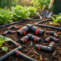 10 x 16mm drip irrigation elbow with safety ring. Union for drip tube diameter 16 mm, black