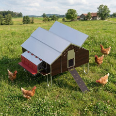 Poulailler mobile en liberté comprenant un abreuvoir de 55 L et un nichoir, d'une capacité de 30 poulets, 1,5 x 1,8 m