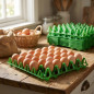 10 x Plastic tray with capacity to store 30 eggs, 30x30x5 cm