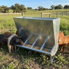 Tronco Zincato per Maiali, Distributore di Cibo con 4 Fori, 100 kg, 96 x 40 x 85 cm