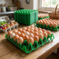 5 x Plastic tray with capacity to store 30 eggs, 30x30x5 cm