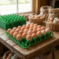 5 x Plastic tray with capacity to store 30 eggs, 30x30x5 cm