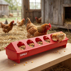 Plastic Chick Drinker Feeder with Holes 50 cm