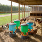 Conjunto de 2 Bebedouros e Comedouros para Galinhas 35 L | Kit com 4 Acessórios para Aves