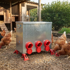 Comedero Metálico Aves 6 Bocas 80 Kg | Antidesperdicio | Tolva Exterior