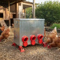 Metal Poultry Feeder with 6 Outlets, 80 kg Capacity | Waste-Free | Outdoor Hopper