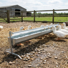 Galvanized Automatic Duck Waterer 2 meters | Bird Water System 200x94x105 cm