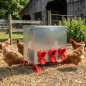 Metal Poultry Feeder with 6 Outlets, 80 kg Capacity | Waste-Free | Outdoor Hopper