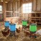 Pack 2+2 Bebedero + Comedero con Patas Gallinas 45 L | Kit 4 Accesorios para Aves Corral