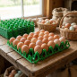 10 x Plastic tray with capacity to store 30 eggs, 30x30x5 cm