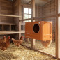 Nid en thermoplastique pour poules, Idéal pour les poulets à couver naturellement, 43x27x29 cm