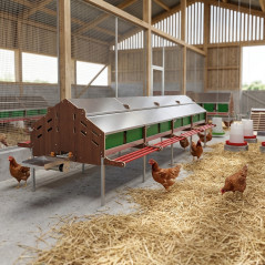 Extension pour Nid de ponte collectif semi-automatique 120 poules, 124x179x133 cm