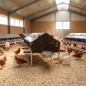 Estensione per nido semiautomatico, 12 galline, 124x179x133 cm