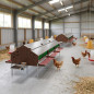 Ampliación para ponedero semiautomático, 120 gallinas, 124x179x133 cm