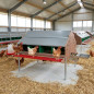Estensione per nido semiautomatico, 12 galline, 124x179x133 cm