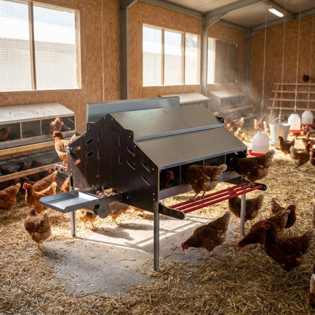 Nid de ponte collectif semi-automatique pour poulets, en tôle galvanisée, pour 120 poules, 173x179x133 cm